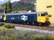 Dapol Class 50 (50040 